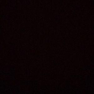 Meet your Posher, Ramon